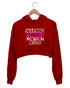 Quirkipedia Warning: Feminist Content Inside Feminism Feminista, Womens Crop Hoodies